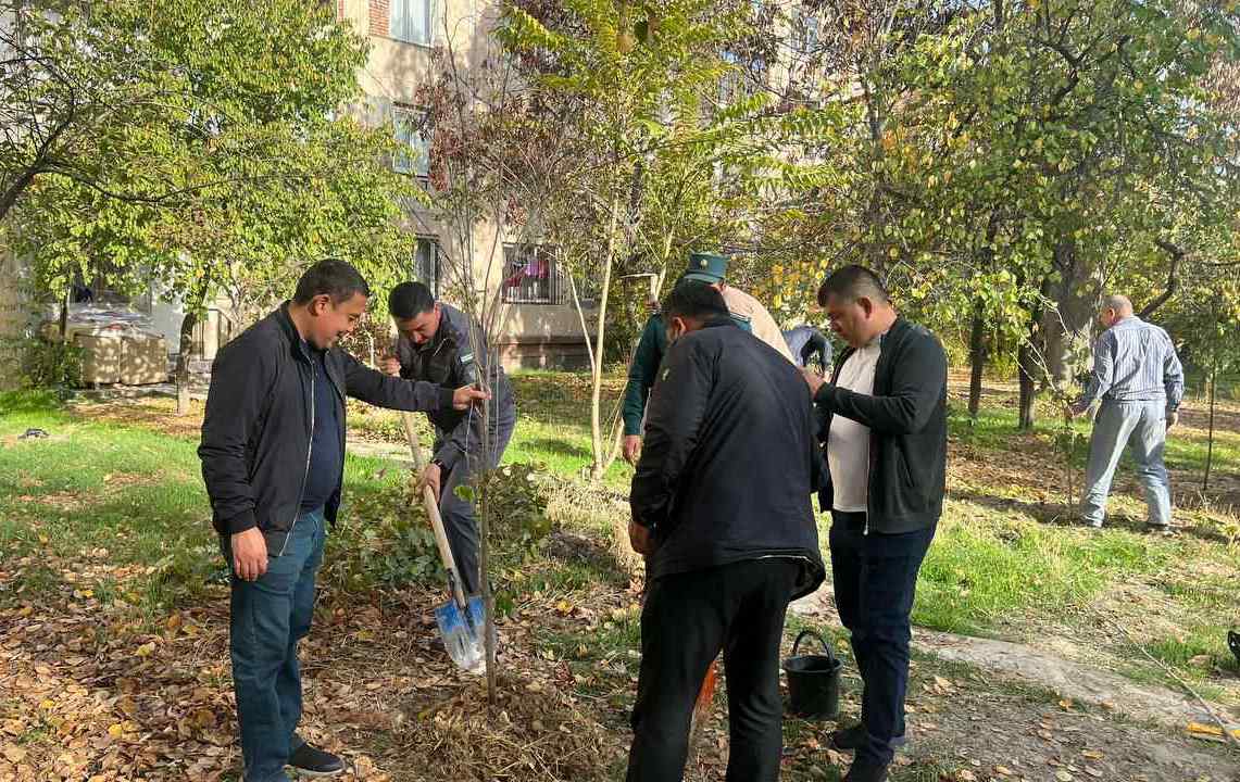 Poytaxtimizda “Yashil makon” umummilliy loyihasi keng miqyosda davom etmoqda 