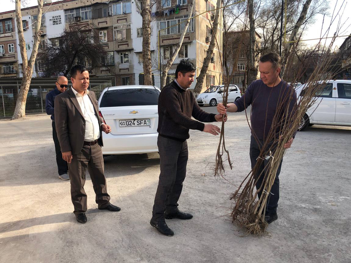 Yunusobod tumanida mahallalarni obodonlashtirish va ko‘kalamzorlashtorish ishlari olib bor...