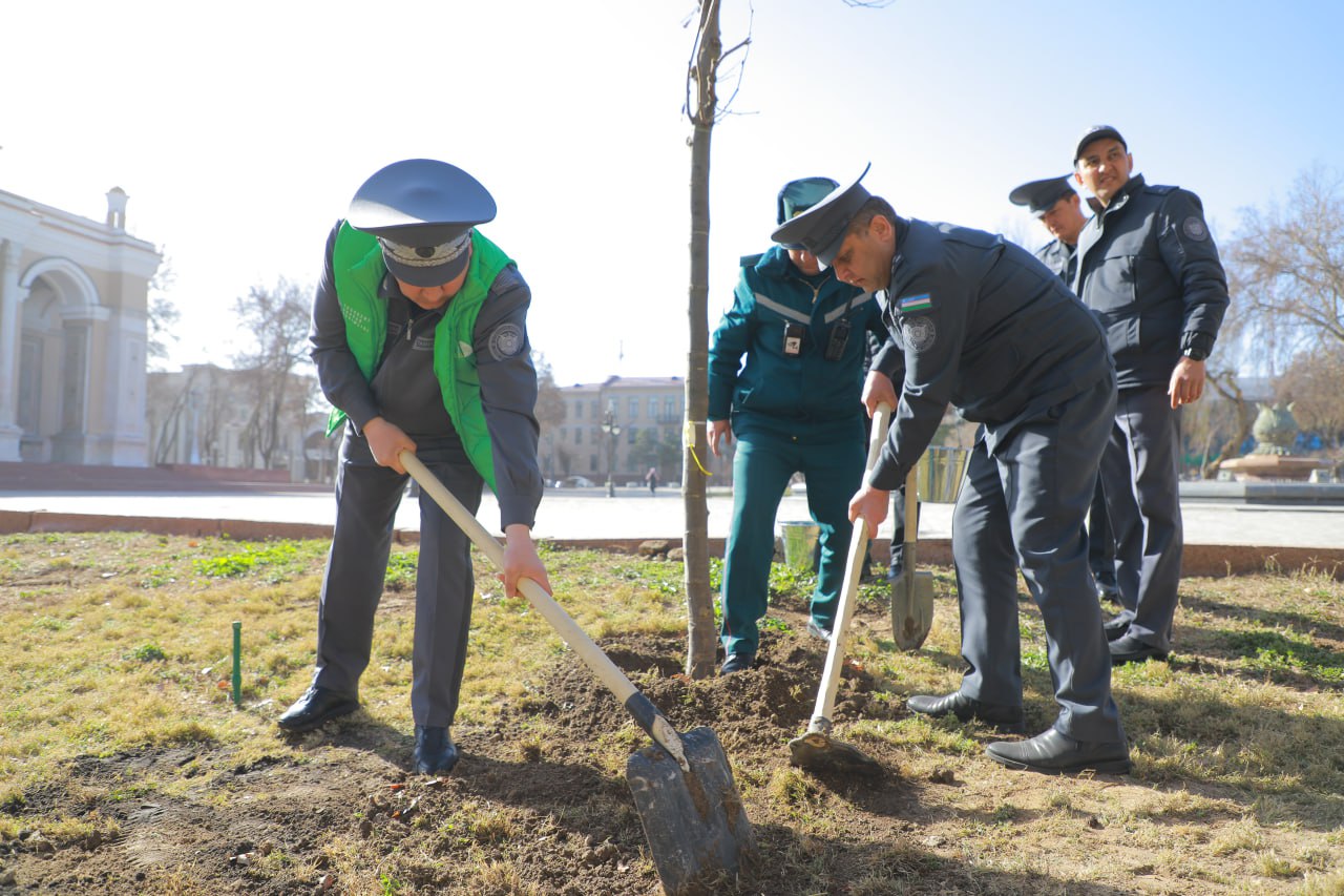 “Yashil makon” umummilliy loyihasiga start berildi