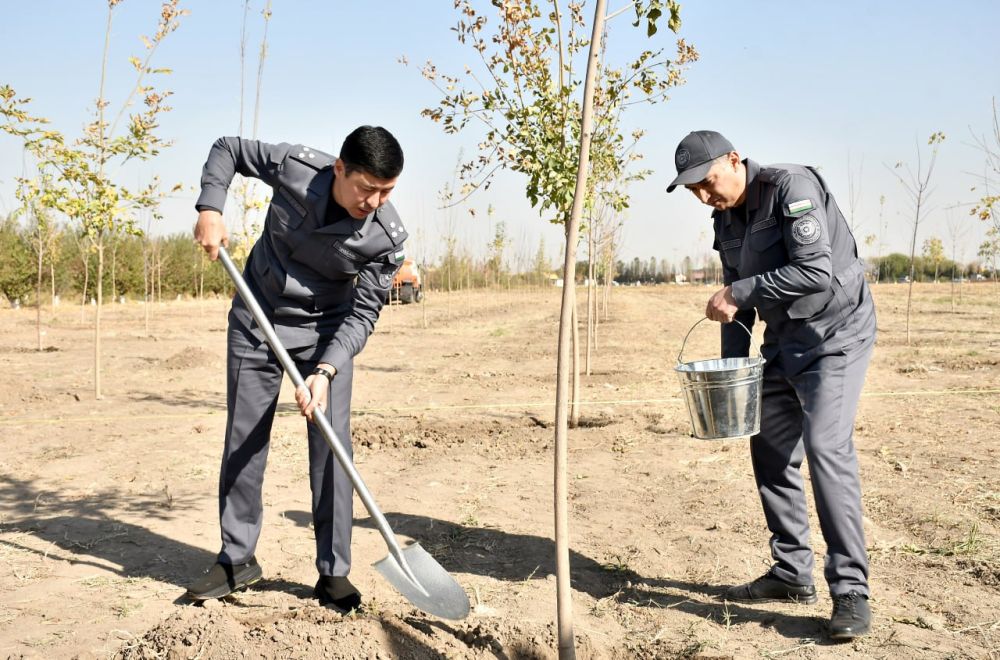 Poytaxtimizning Bektemir tumanida UNESKO tashkilotining 80 yilligi munosabati bilan ko‘cha...