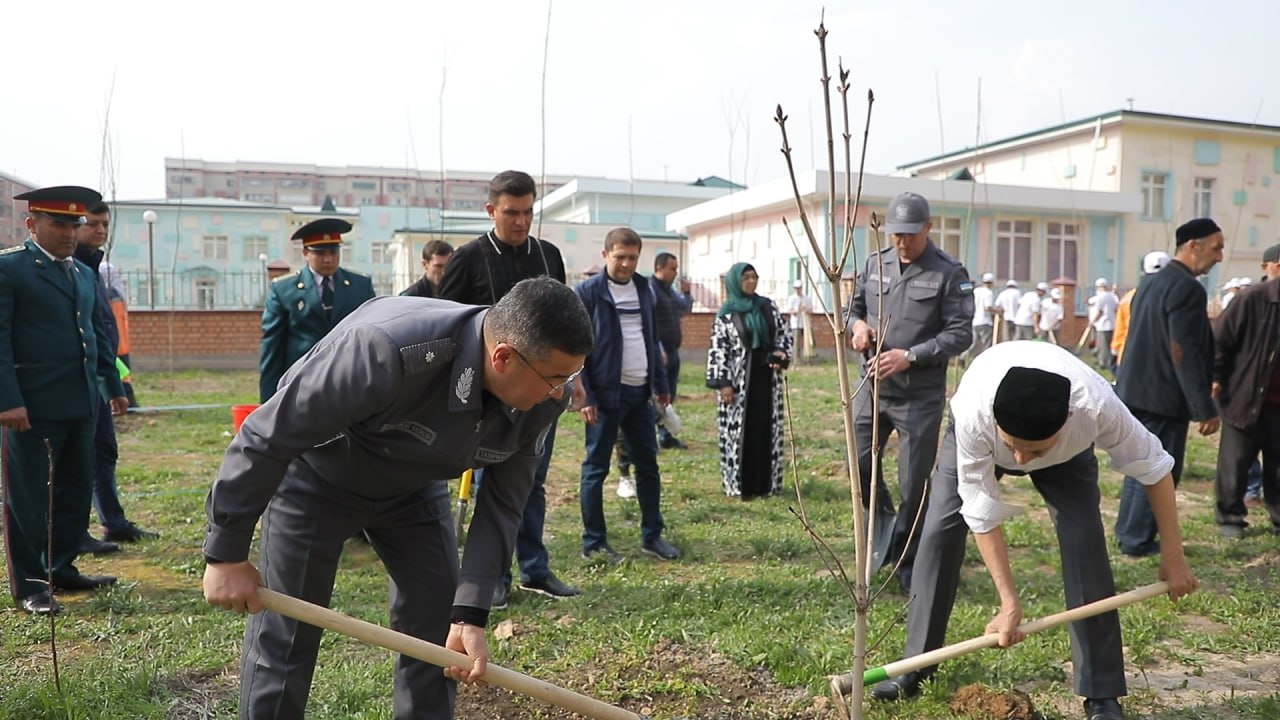 “Yashil makon” umummilliy loyihasi davom etmoqda