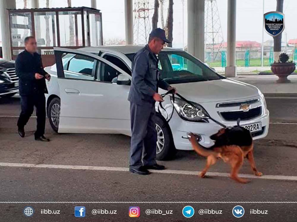 Сотрудники кинологической службы ГУВД города Ташкента с помощью служебных собак выявляют ф...